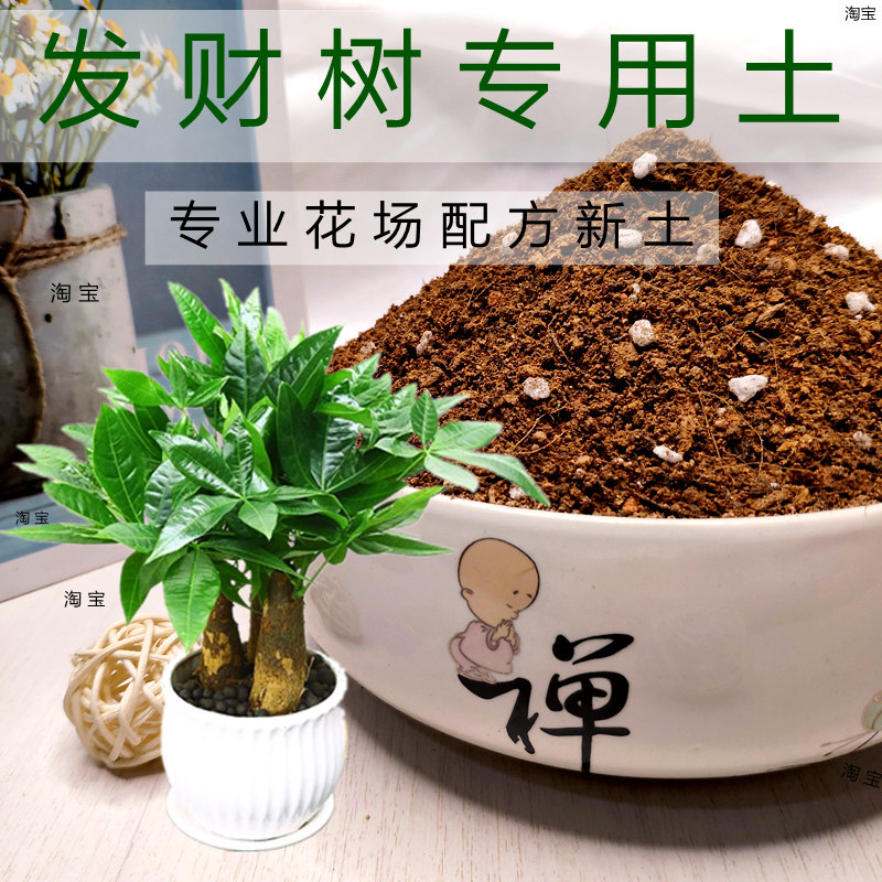 发财树营养土弱酸性透气花卉盆栽