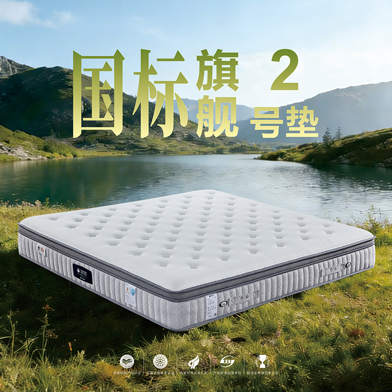 【梦神门店同款】【国标旗舰2号垫】进口乳胶分区独立弹簧席梦思