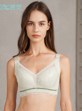 100%感觉舒适聚拢侧收副乳大胸显小薄款记忆钢圈D杯内衣1669