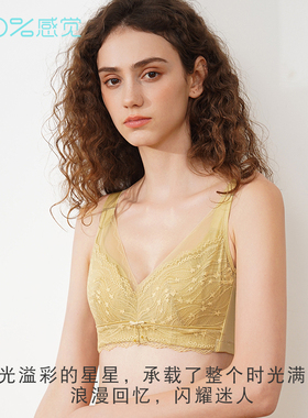 100%感觉C杯薄款记忆钢圈聚拢调整全罩杯棉质大胸显小内衣1631