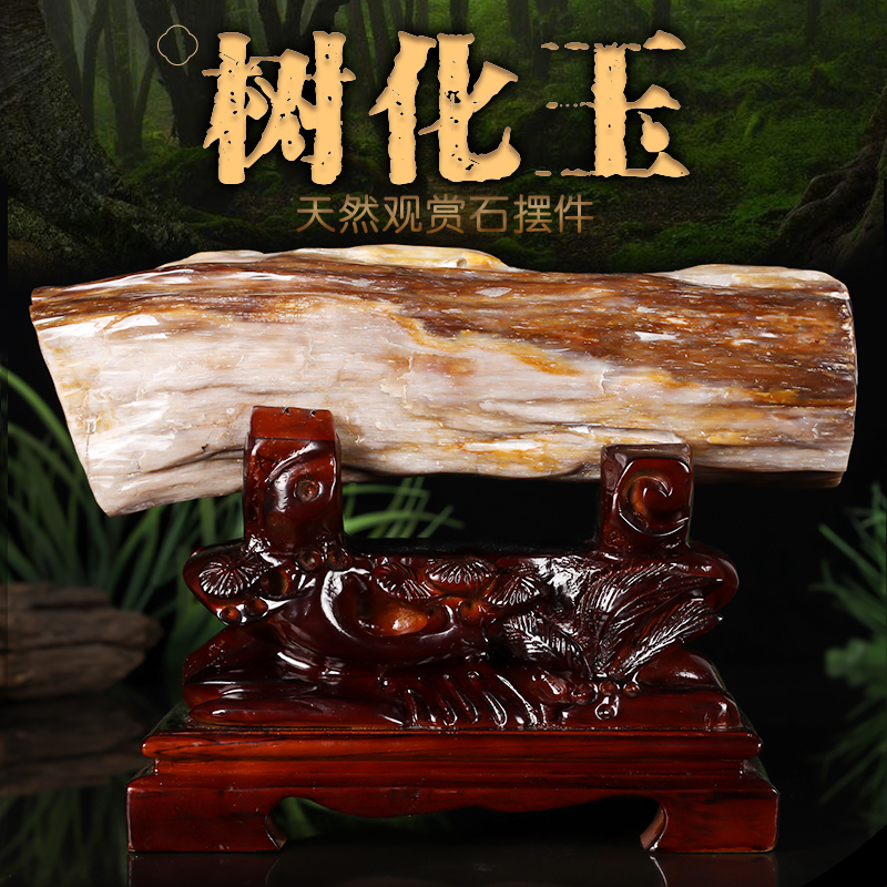 缅甸树化玉原石摆件天然冰种硅化木木化石奇石客厅景观石观赏石头