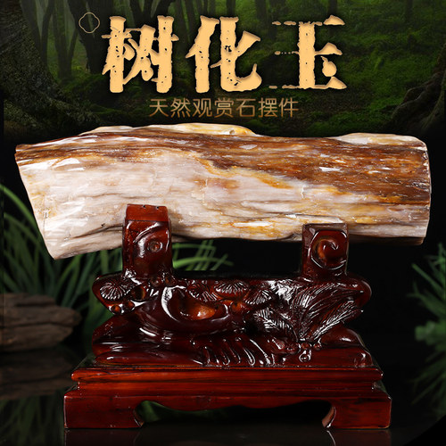 缅甸树化玉原石摆件客厅观赏石头