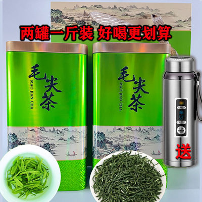 【送大容量保温杯】明前毛尖新茶浓香型春茶绿茶礼盒罐装口粮茶