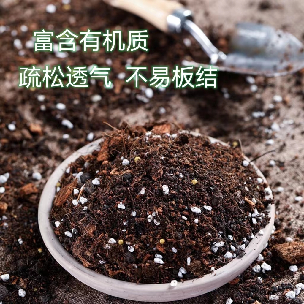 禅艺绿植工作室配方型泥炭土通用型营养土有机土种花种菜土怎么看?