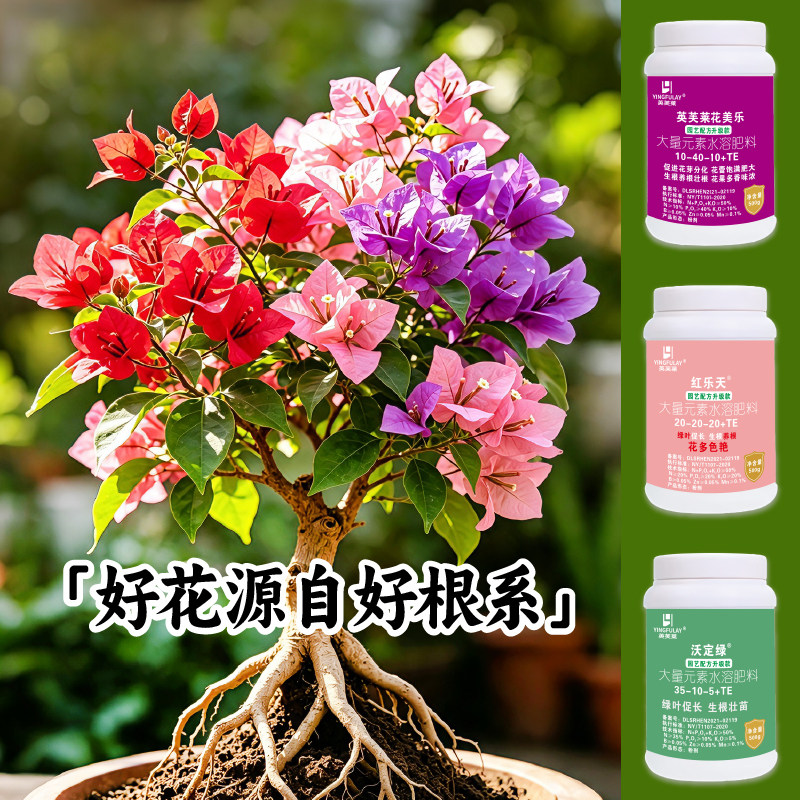 【禅艺绿植三角梅】基地实用肥大量元素水溶肥长叶催花肥观叶肥
