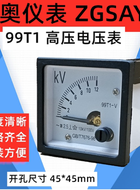 ZGSAYB 沈奥 ( SQ48 / 48T1 ) 99T1 10KV/100V 交流 电压表 高压