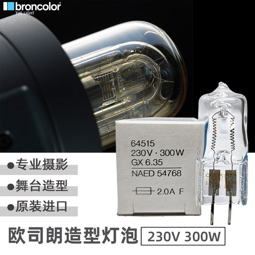 欧司朗OSRAM造型灯泡230V300W