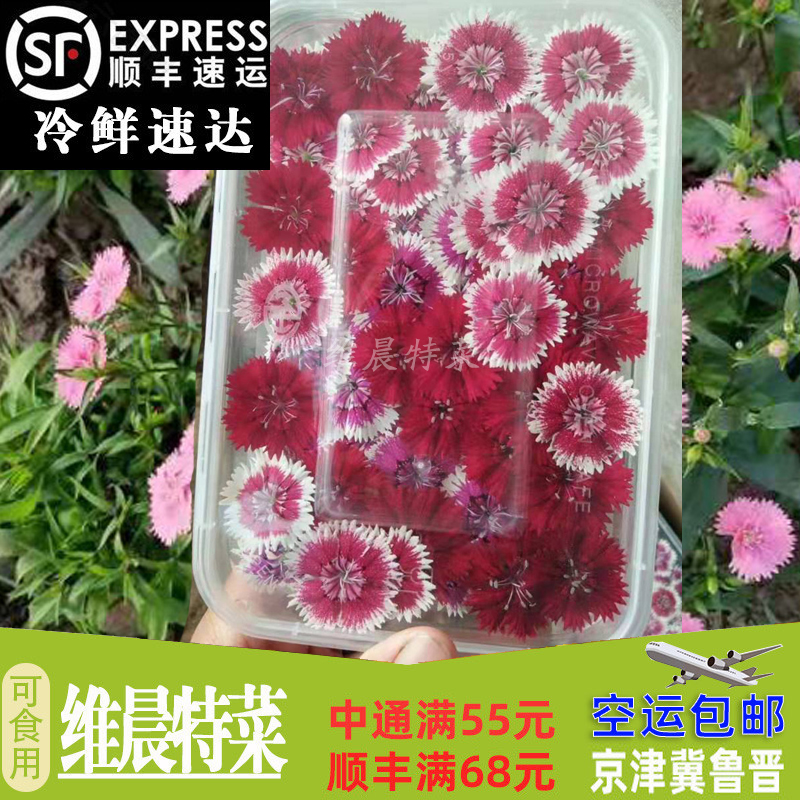 新鲜石竹花 西餐摆盘装饰 中国石竹 40朵/盒/件