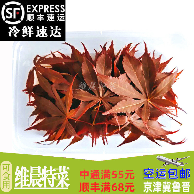 新鲜红枫叶 酒店日料料理摆盘装饰花草叶点缀 30片/包/件,水产肉类/新鲜蔬果/熟食,其它,淘宝优惠券,粉丝福利购,淘宝优惠卷