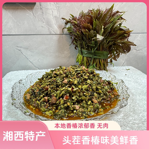 香椿芽新鲜凉拌湖南湘西特产