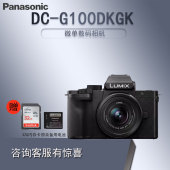 G100DKGK微单电套机Vlog4K旅游相机G100K升级 松下 Panasonic