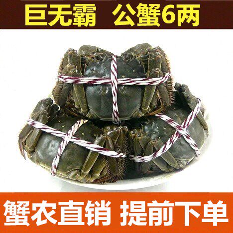 大闸蟹六两价格 大闸蟹六两图片 星期三