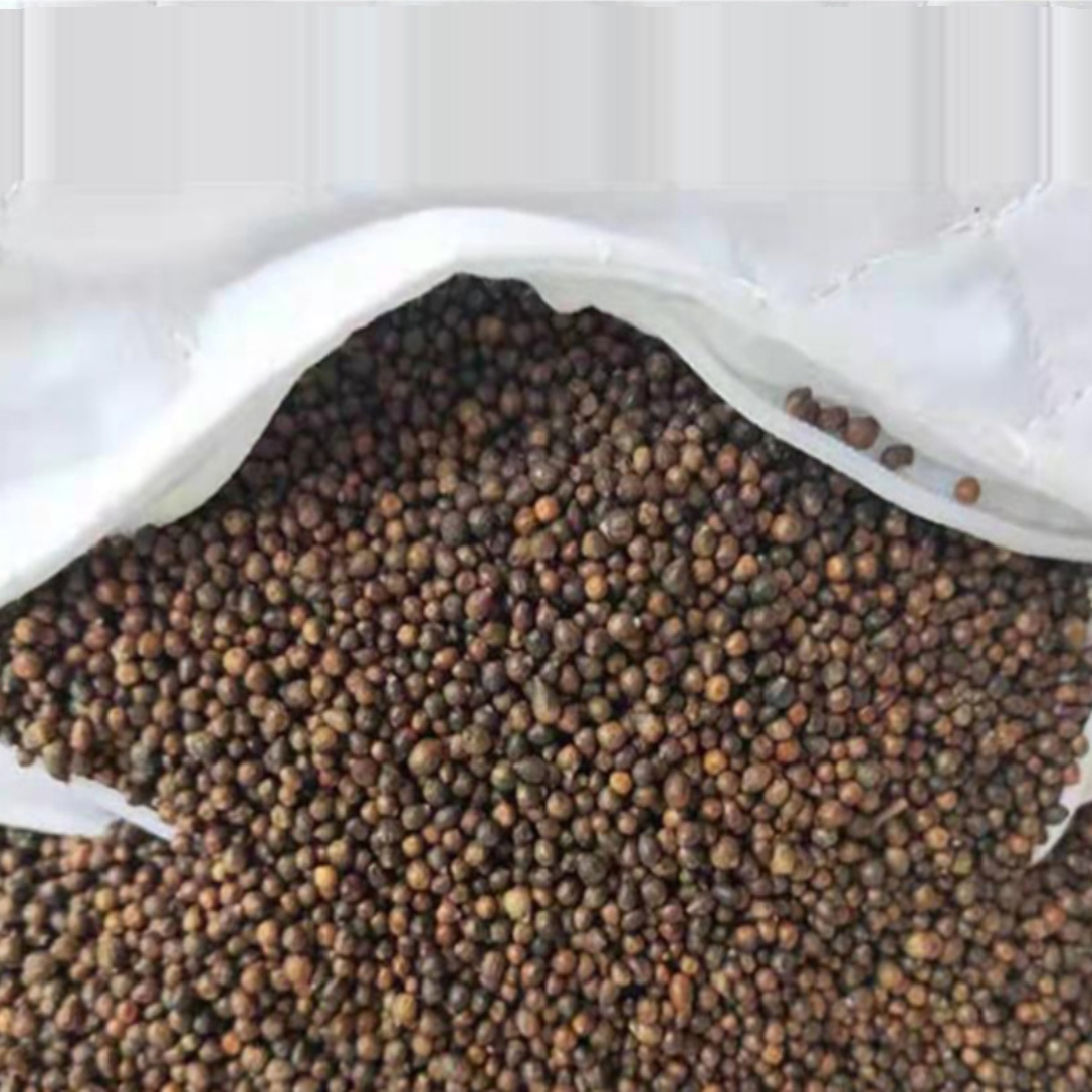 水洗炒熟黄荆子填充物枕芯布惊籽布荆仁黄金子荆棵荆种子装枕头