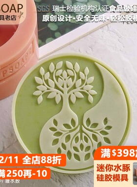 PPSOAP原创设计模具 食品级硅胶模 手工皂矽胶模 烘焙模 FE047