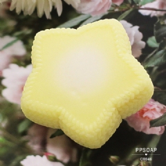 PPSOAP原创矽胶模具收纳食品级硅胶模 手工皂模巧克力烘焙模CR046