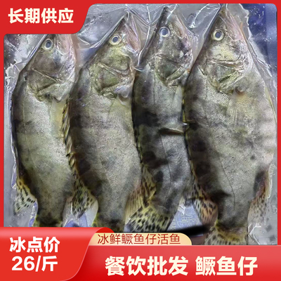 臭鳜鱼 冰鲜鳜鱼仔腌制半成品臭桂鱼净膛净腮正宗湖南特产含包装