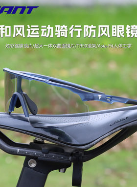 GIANT捷安特 Breeze和风骑行眼镜山地公路车炫彩镀膜变色防紫外线