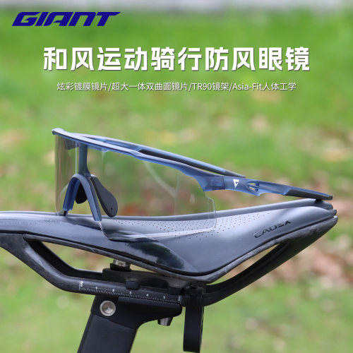 GIANT捷安特 Breeze和风骑行眼镜山地公路车炫彩镀膜变色防紫外线