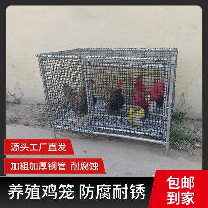鸡笼家用铁丝网特大号防黄鼠狼防鼠鸭兔鸽鸡舍狗笼农村养殖加密笼