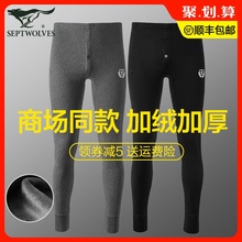 七匹狼保暖裤男士秋裤加绒加厚紧身打底棉裤修身毛裤绒裤内裤冬季