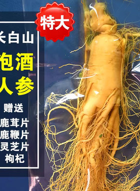 人参长白山新鲜人参泡酒专用人参泡酒药材套餐非野山参新保鲜人参