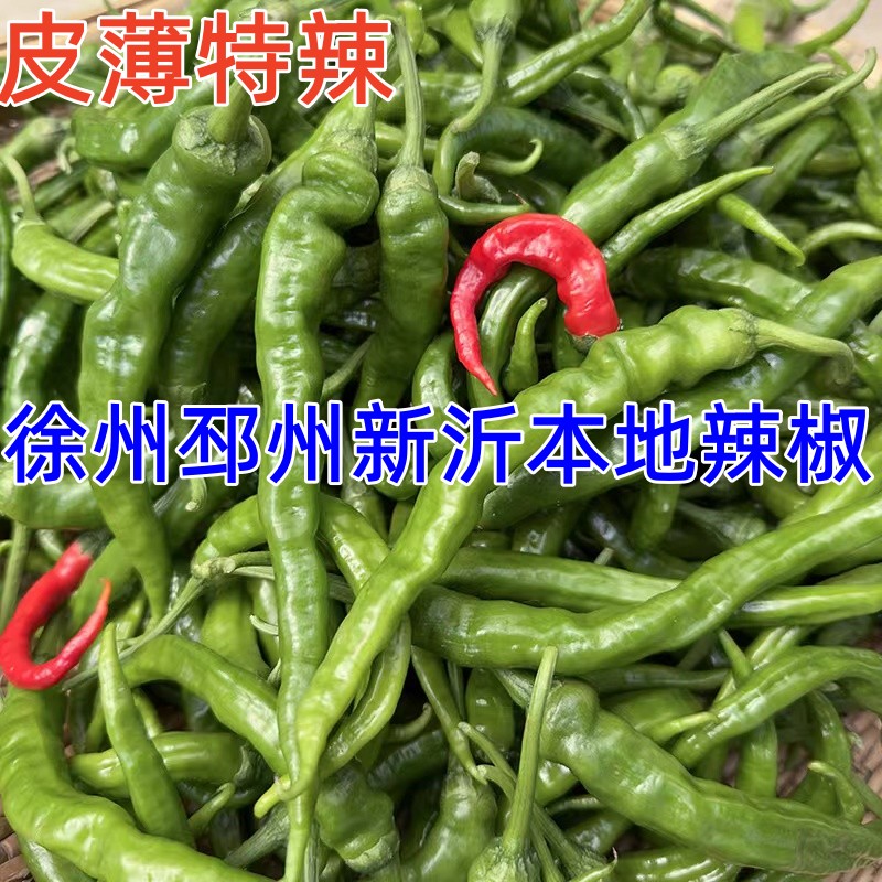 徐州邳州本地辣椒皮薄特辣