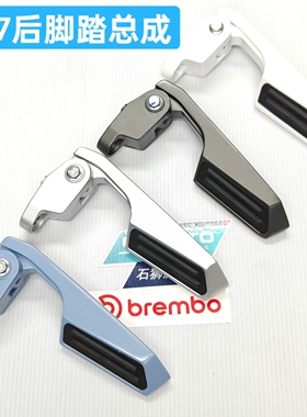 AE7后脚蹬总成ae7/ae7pro乘客脚蹬总成ae7后乘客脚蹬总成