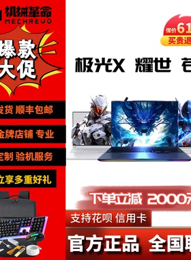 MECHREVO/机械革命极光系列极光X 耀世 苍龙游戏笔记本电脑