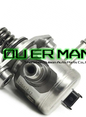 12633423 12639694 12641847 适用于别克 雪佛兰 高压燃油泵