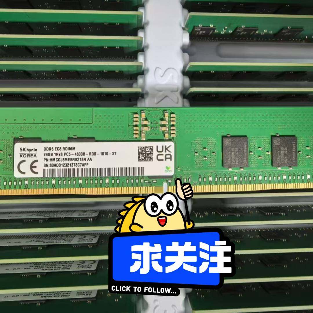 议价-SK 海力士 24G DDR5 1Rx8 4800 RDIM