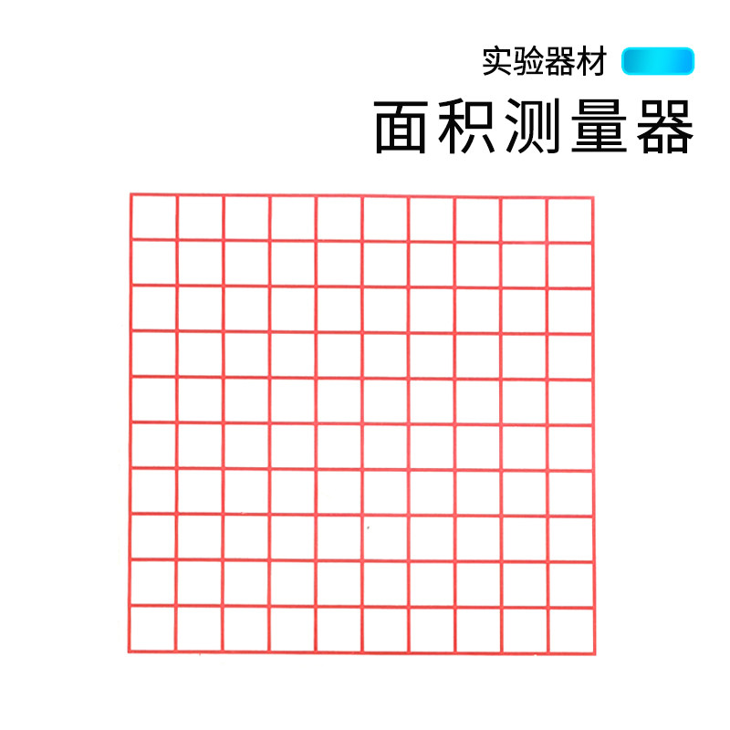 四年级数学方格纸图片,数学方格纸,四年级上册65页图片_大山谷图库