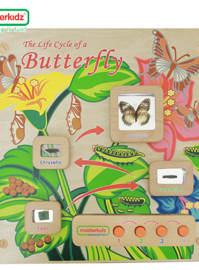 墙面游戏蝴蝶成长阶段标本探索灯板幼儿早教儿童科学stem墙面玩