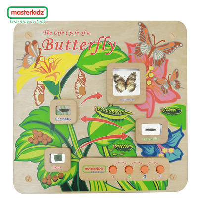 墙面游戏蝴蝶成长阶段标本探索灯板幼儿早教儿童科学stem墙面玩