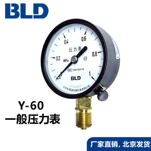 北京布莱迪包检压力表正品y60