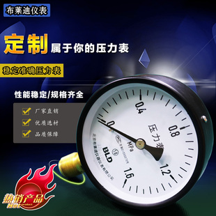北京布莱迪高精度压力表Y100普通径向气压油压液压真空表现货热卖