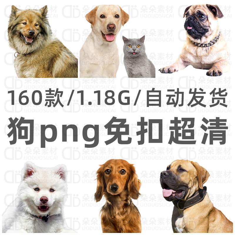 狗狗免扣png超高清ps素材透明背景宠物狗猎狗家警犬狼狗萨摩耶犬