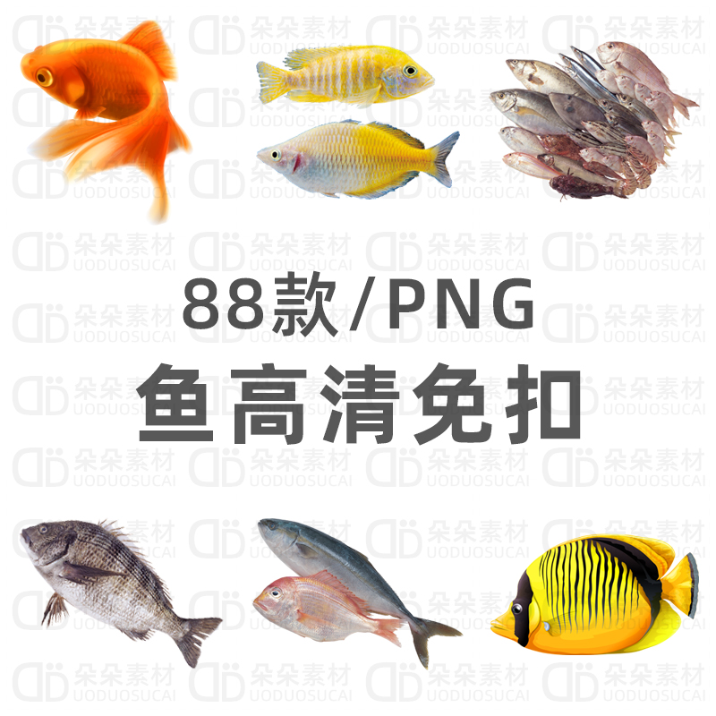 鱼免扣png高清ps素材金鱼透明背景海生海鱼餐饮手绘设计素材88款