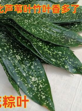 四川云南粽子叶纯天然新鲜现割爆米花端午包粽子送线圆通包邮