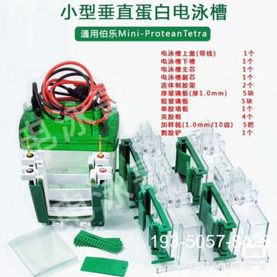 议价WB电泳槽垂直蛋白电泳槽伯乐四板胶电泳槽Biorad通用国产详谈