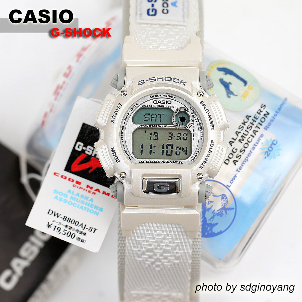 CASIO G-SHOCKxA.D.M.A. DW-8800AJ-8T阿拉斯加养狗协会全新现货