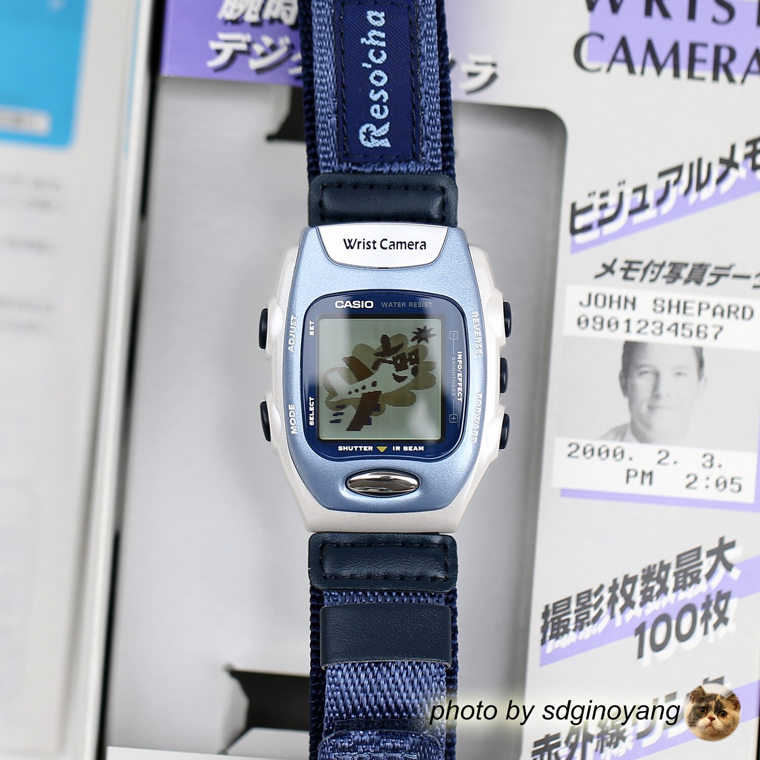 casioJAL日航Resocha手表
