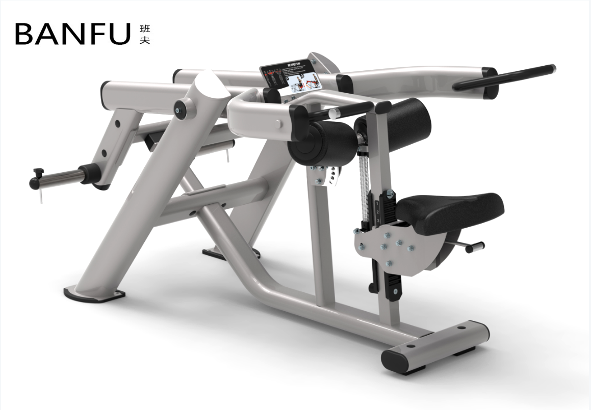 班夫 高端三头下压训练器专业健身房企事业单位训练器pl3101
