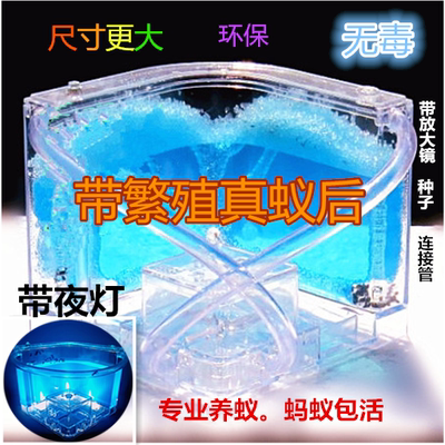 蚂蚁工坊蚁后繁殖蚂蚁城堡玩具