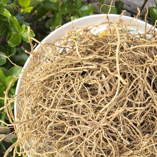 国产岩兰草香草根芳疗纯露香根草香薰香包原材料情绪舒缓放松心理