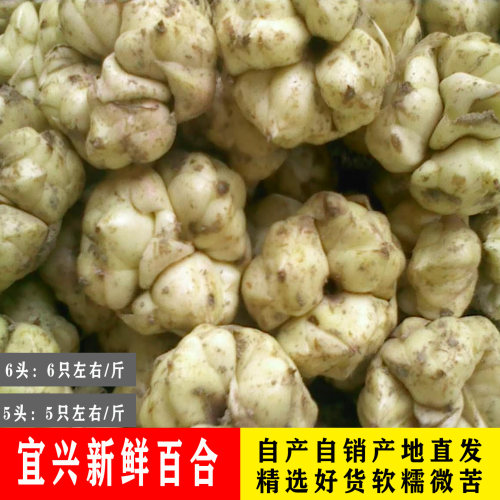 软糯新鲜好吃宜兴百合实惠家庭装