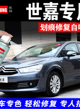 雪铁龙c4L世嘉全新爱丽舍汽车补漆笔珍珠白色铂金灰水晶银自喷漆