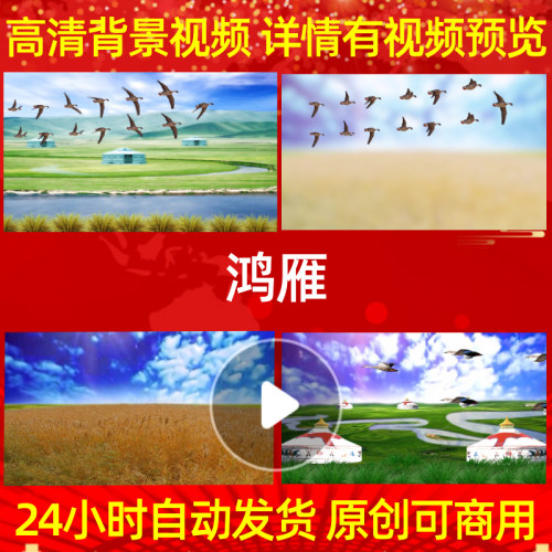 B336Z鸿雁大草原蒙古包蓝天白云大雁背景视频成品配乐模板粒子歌
