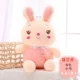 Plum Bunny [Pink] сидит 45 см в высоту