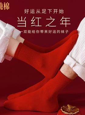 本命年红袜子纯棉秋冬季新年情侣结婚一对属马年礼物大红色中筒袜