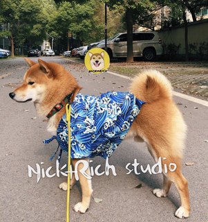 nick财 夏装海浪大渔日式和服柴犬柯基法斗宠物衣服狗狗衣服